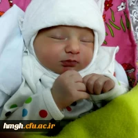 فرم ثبت نام متقاضیان مهد کودک 2