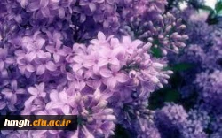 تبریک  دانشجویان به  سرپرست جدید دانشگاه فرهنگیان  به مناسبت  آغاز سال تحصیلی جدید  2