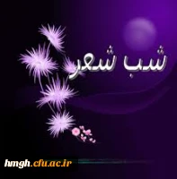 اعزام دانشجویان  پردیس حضرت معصومه (س)  به مراسم شب شعر  2