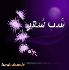 اعزام دانشجویان  پردیس حضرت معصومه (س)  به مراسم شب شعر