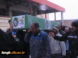تشییع پیکر مطهر 7 شهید گلگون کفن مدافع حرم 2