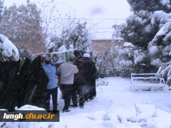 تشییع پیکر مطهر 7 شهید گلگون کفن مدافع حرم 6