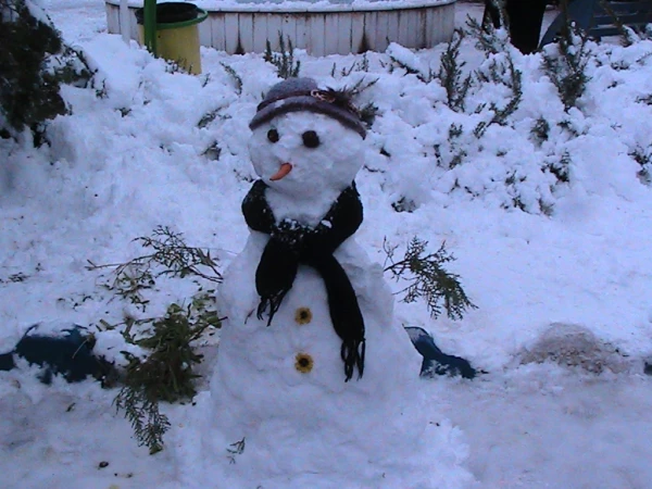 روز برفی پردیس حضرت معصومه  (س)