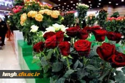 شرکت دانشجو معلمان در مراسم اختتامیه  جشنواره بین المللی شعر اشراق  2