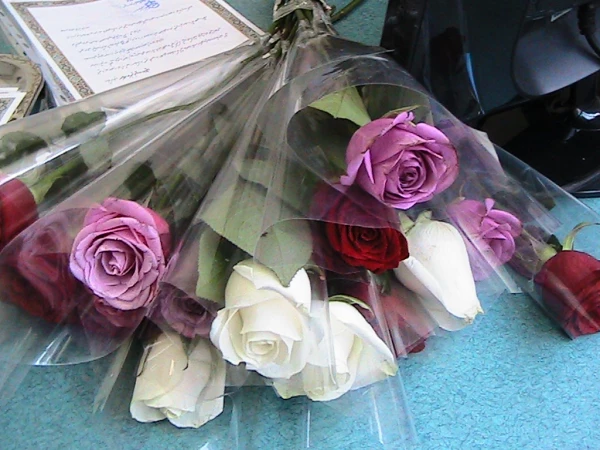 تقدیر سرپرست پردیس حضرت معصومه (س) سرکار خانم دکتر شریفی از اساتید گرانقدر در روز  معلم  2