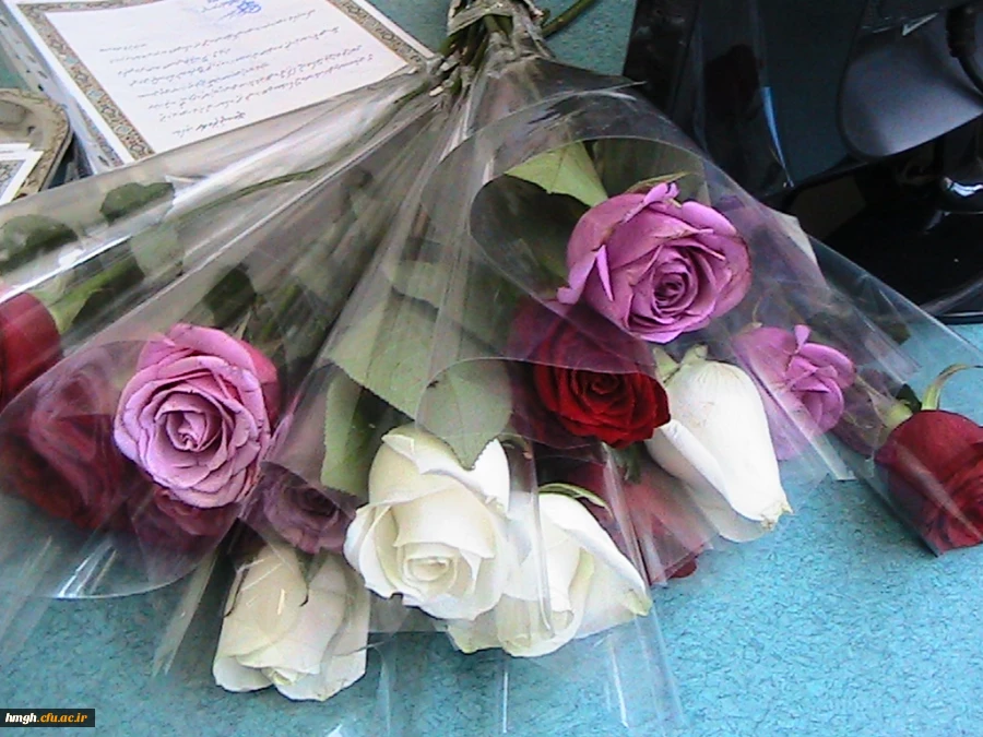 تقدیر سرپرست پردیس حضرت معصومه (س) سرکار خانم دکتر شریفی از اساتید گرانقدر در روز  معلم  2