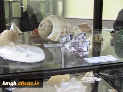 بازدید علمی دانشجو معلمان  از خانه علوم و فنون  استان قم  6