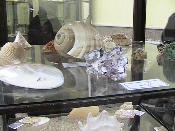 بازدید علمی دانشجو معلمان  از خانه علوم و فنون  استان قم  6