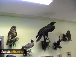 بازدید علمی دانشجو معلمان  از خانه علوم و فنون  استان قم  7