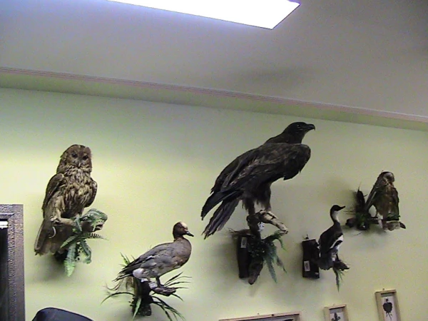 بازدید علمی دانشجو معلمان  از خانه علوم و فنون  استان قم  7