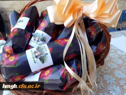 ویژه برنامه های دهه کرامت 9