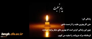 پیام تسلیت سرپرست پردیس حضرت معصومه (س) قم