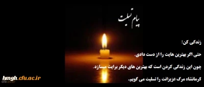 پیام تسلیت سرپرست پردیس حضرت معصومه (س) قم