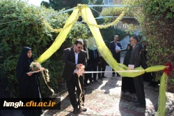 برگزاری جشنواره غذای سالم 2