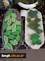 نمایشگاه آثار هنری دانشجومعلمان رشته آموزش ابتدایی ورودی 97  5