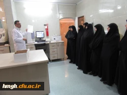بازدید اساتید و کارکنان پردیس حضرت معصومه(س) از مرکز فوق تخصصی درمان ناباروری جهاددانشگاهی واحد استان قم (رویا) 2