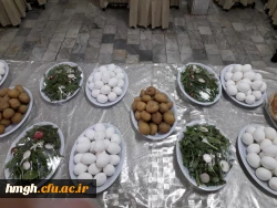 به مناسبت هفته سرای دانشجویی برگزار شد: 

صبحانه سالم در دوران دانشجویی
 3