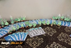 برگزار شد:

اولین نشست علمی روان شناسی رشد در پردیس حضرت معصومه(س) 2