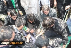 برگزار شد:

مراسم تشییع و خاکسپاری پیکر پاک شهید گمنام دفاع مقدس در پردیس حضرت معصومه (س) 4