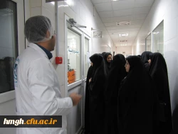 بازدید از شرکت بوعلی دارو 5
