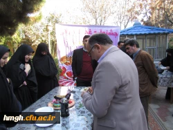 برگزاری جشنواره غذای سالم 3