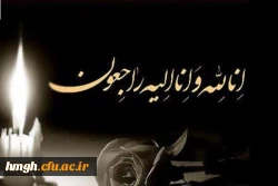 تسلیت حادثه دردناک و شهادت گونه جمعی از هموطنان و فرهیختگان در سانحه هوایی 2