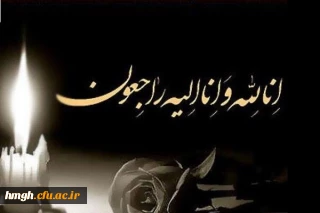 تسلیت حادثه دردناک و شهادت گونه جمعی از هموطنان و فرهیختگان در سانحه هوایی