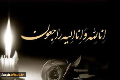 تسلیت حادثه دردناک و شهادت گونه جمعی از هموطنان و فرهیختگان در سانحه هوایی