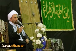 برگزاری ویژه برنامه 