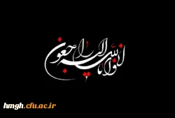 شهادت شماری از دریادلان غیور نیروی دریایی ارتش جمهوری اسلامی ایران تسلیت باد 2