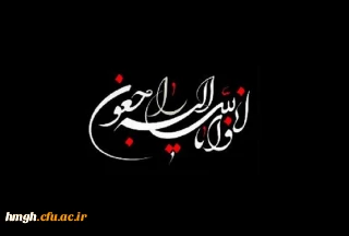 شهادت شماری از دریادلان غیور نیروی دریایی ارتش جمهوری اسلامی ایران تسلیت باد