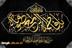 سالروز وفات کریمه اهل بیت، حضرت فاطمه معصومه (س) تسلیت باد 2