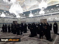 جشن فارغ التحصیلی ورودی های ۹۷ 7