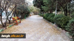 پاییز زیبای پردیس حضرت معصومه(س) 2