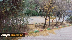 پاییز زیبای پردیس حضرت معصومه(س) 2