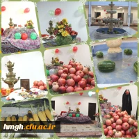 شب  یلدا در سرای  دانشجویی پردیس حضرت معصومه (س)  2