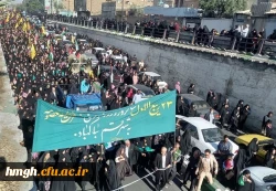 شرکت در مراسم استقبال از کاروان نمادین ورود حضرت معصومه(س) به شهر قم 2