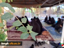 برگزاری ویژه برنامه بزرگداشت سالروز شهادت شهید زین الدین         3