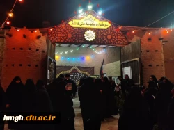 بازدید از سوگواره کوچه بنی هاشم   2