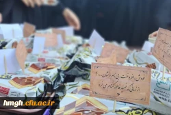 در ساختمان شمره 2 پردیس حضرت معصومه(س) برگزار شد:

استقبال از شهید گمنام در سالروز شهادت حضرت صدیقه شهیده(س) 2