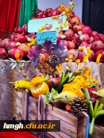 با حضور مسؤولان، کارکنان و دانشجومعلمان پردیس حضرت معصومه(س) برگزار شد: 

آیین شب یلدا در سرای دانشجویی 2