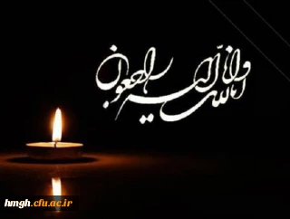 تسلیت درگذشت برادر بزرگوار سرکار خانم دکتر سلطانی