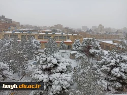 روز برفی در پردیس حضرت معصومه(س) 2