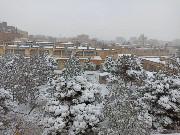 روز برفی در پردیس حضرت معصومه(س) 2