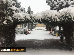 روز برفی در پردیس حضرت معصومه(س) 2