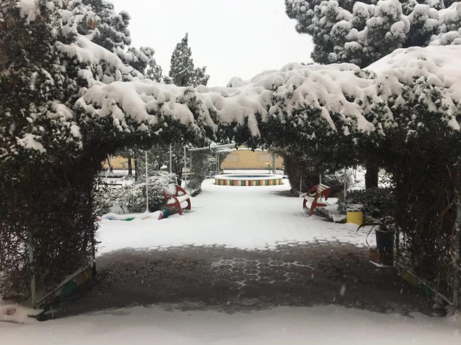 روز برفی در پردیس حضرت معصومه(س) 2