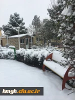 روز برفی در پردیس حضرت معصومه(س) 2