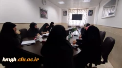 برگزاری جلسه کارگروه عفاف و حجاب 5