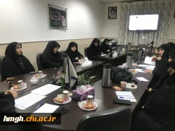 برگزار شد: 

جلسه اعضای هیئت علمی پردیس حضرت معصومه (س) 2